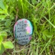 Painted rock resting in the grass, which reads "We paint and make a beautiful world - Gabe, 16"